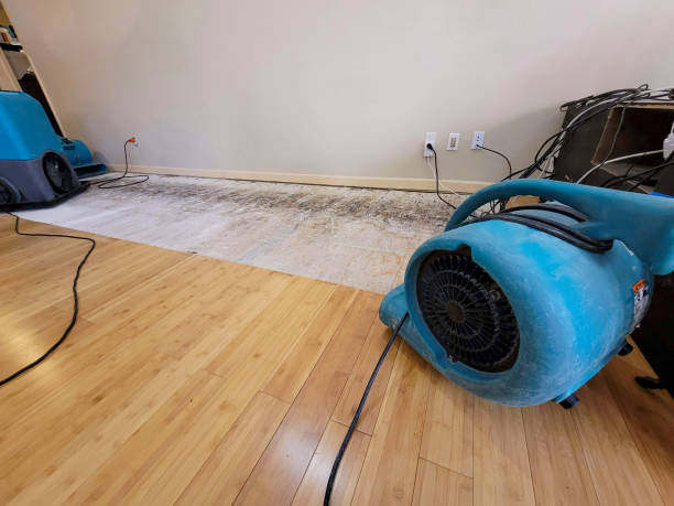 Professional Water Damage Repair technician working in Webster, MA